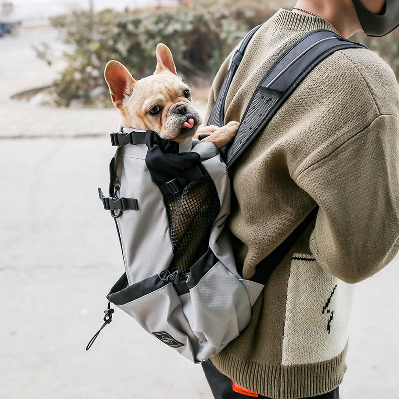 Pet Carrier Bag