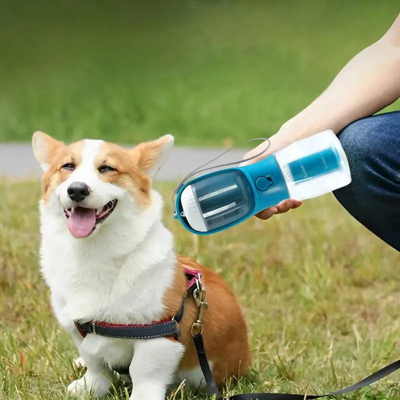 Three-in-one Portable Small Multi-functional dog Cup