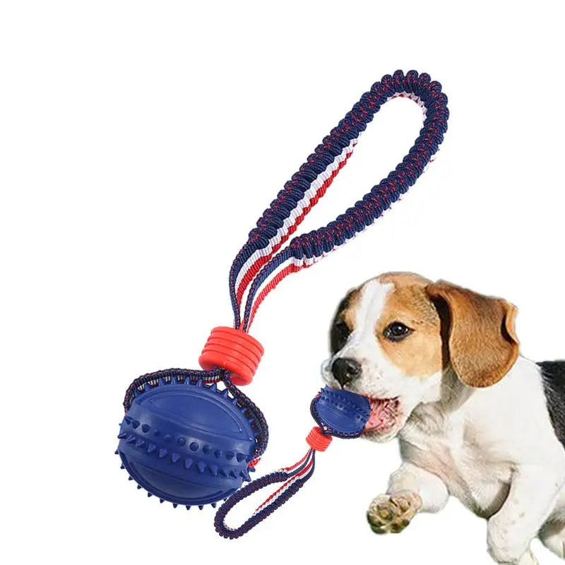 Dog Toy Ball with string