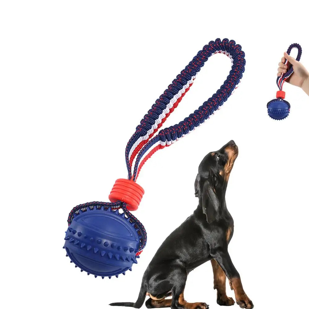 Dog Toy Ball with string