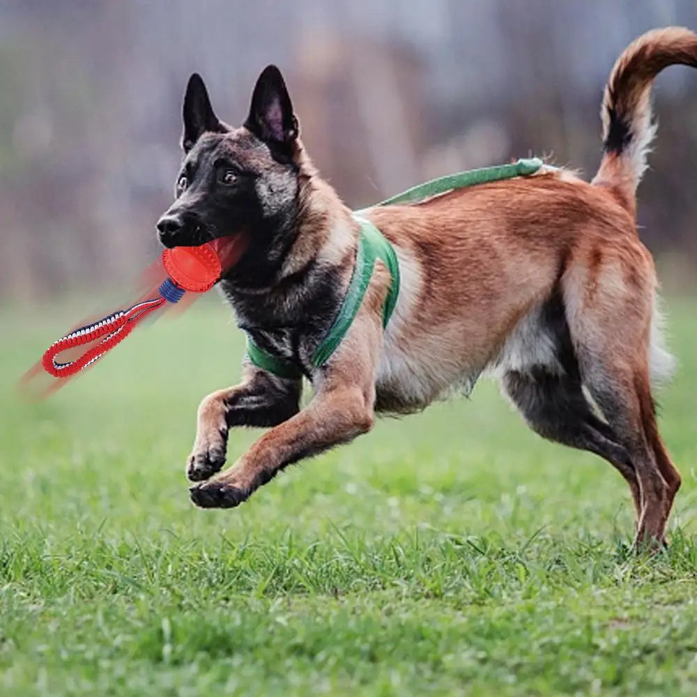 Dog Toy Ball with string